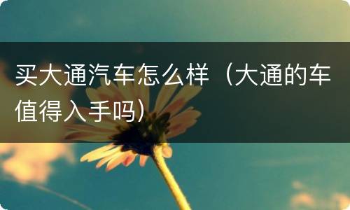 买大通汽车怎么样（大通的车值得入手吗）