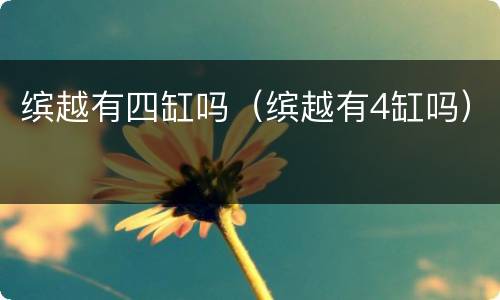 缤越有四缸吗（缤越有4缸吗）
