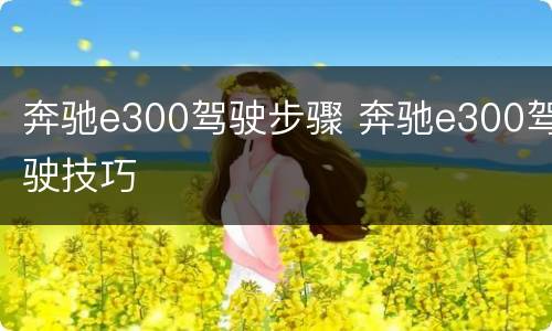 奔驰e300驾驶步骤 奔驰e300驾驶技巧