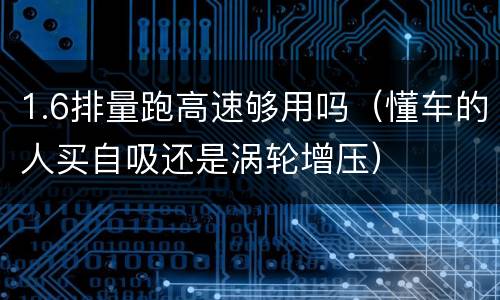 1.6排量跑高速够用吗（懂车的人买自吸还是涡轮增压）