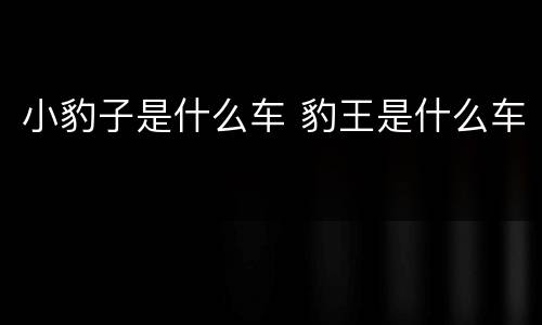 小豹子是什么车 豹王是什么车