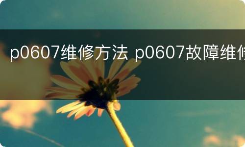 p0607维修方法 p0607故障维修