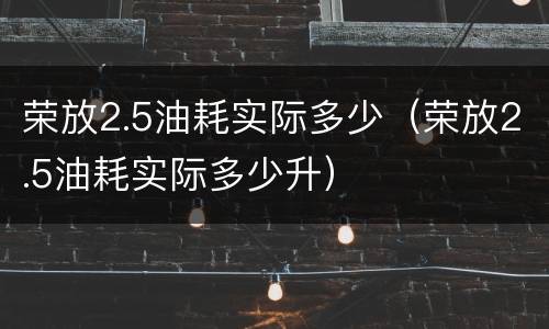 荣放2.5油耗实际多少（荣放2.5油耗实际多少升）