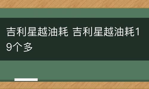 吉利星越油耗 吉利星越油耗19个多