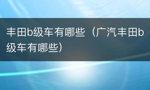 丰田b级车有哪些（广汽丰田b级车有哪些）