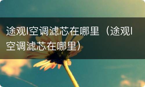 途观l空调滤芯在哪里（途观l空调滤芯在哪里）