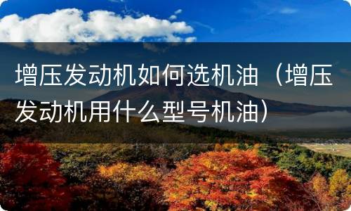增压发动机如何选机油（增压发动机用什么型号机油）