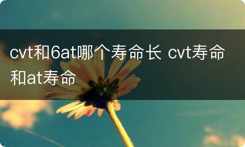 cvt和6at哪个寿命长 cvt寿命和at寿命