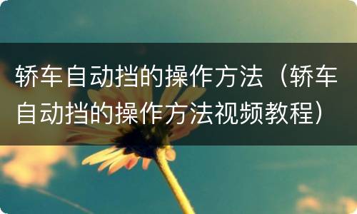 轿车自动挡的操作方法（轿车自动挡的操作方法视频教程）