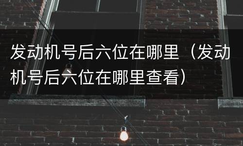发动机号后六位在哪里（发动机号后六位在哪里查看）