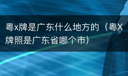 粤x牌是广东什么地方的（粤X牌照是广东省哪个市）