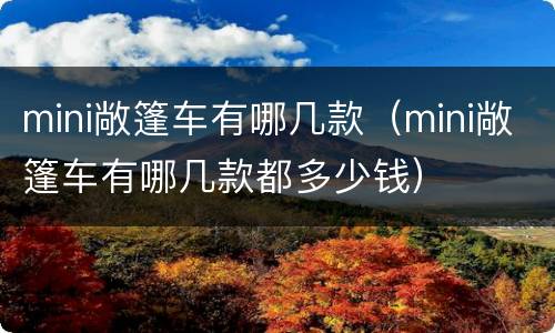 mini敞篷车有哪几款（mini敞篷车有哪几款都多少钱）
