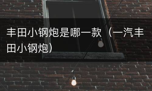 丰田小钢炮是哪一款（一汽丰田小钢炮）