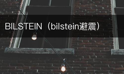 BILSTEIN（bilstein避震）