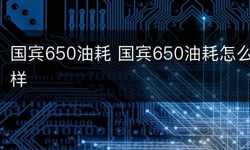 国宾650油耗 国宾650油耗怎么样