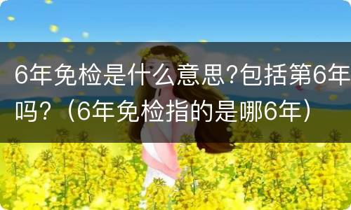 6年免检是什么意思?包括第6年吗?（6年免检指的是哪6年）