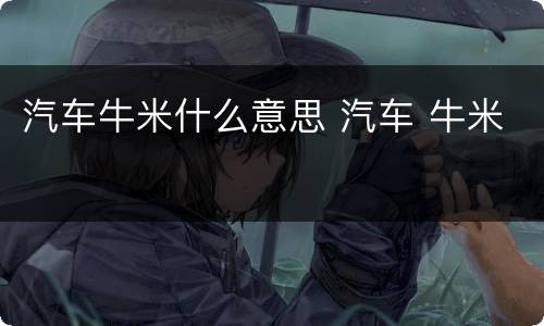 汽车牛米什么意思 汽车 牛米