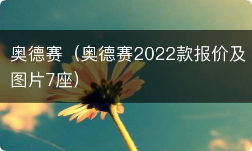 奥德赛（奥德赛2022款报价及图片7座）