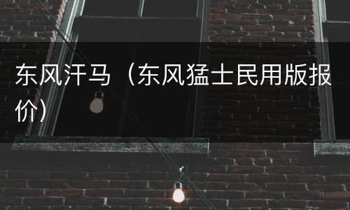 东风汗马（东风猛士民用版报价）