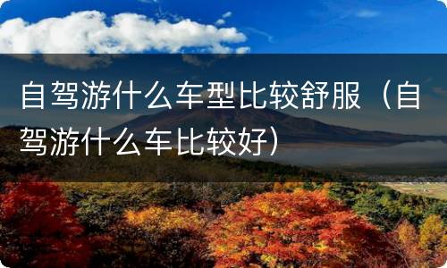 自驾游什么车型比较舒服（自驾游什么车比较好）