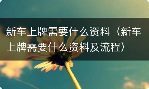 新车上牌需要什么资料（新车上牌需要什么资料及流程）