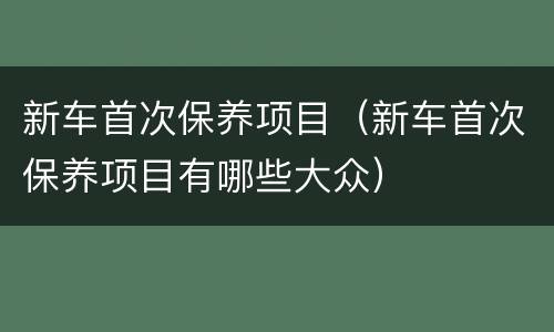 新车首次保养项目（新车首次保养项目有哪些大众）