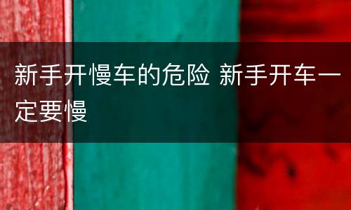 新手开慢车的危险 新手开车一定要慢