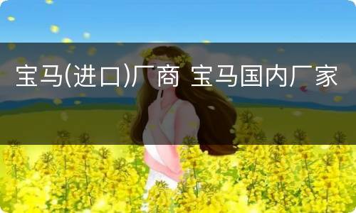 宝马(进口)厂商 宝马国内厂家