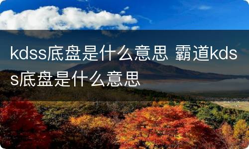 kdss底盘是什么意思 霸道kdss底盘是什么意思
