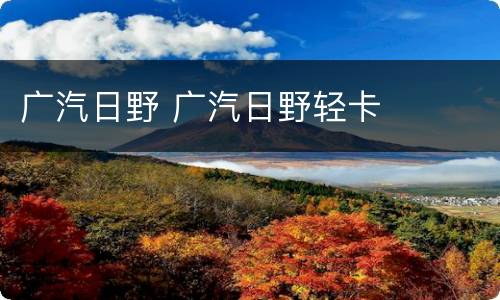 广汽日野 广汽日野轻卡
