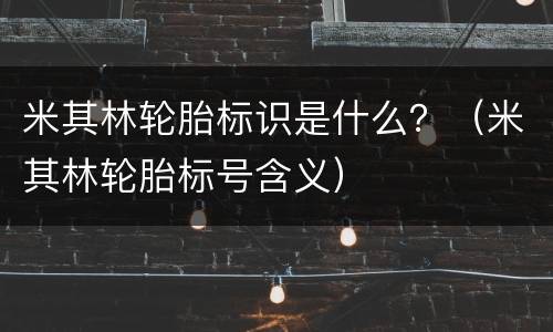 米其林轮胎标识是什么？（米其林轮胎标号含义）