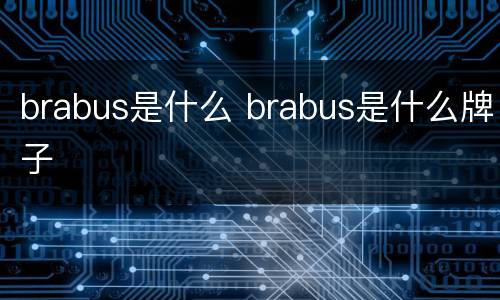 brabus是什么 brabus是什么牌子
