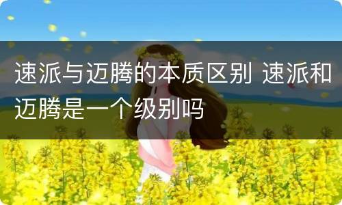 速派与迈腾的本质区别 速派和迈腾是一个级别吗