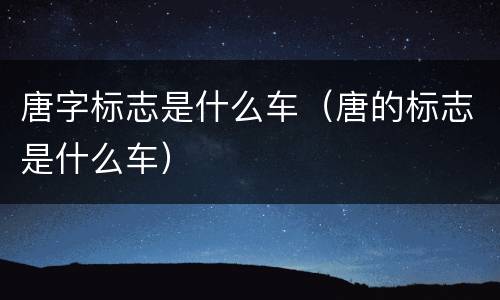 唐字标志是什么车（唐的标志是什么车）