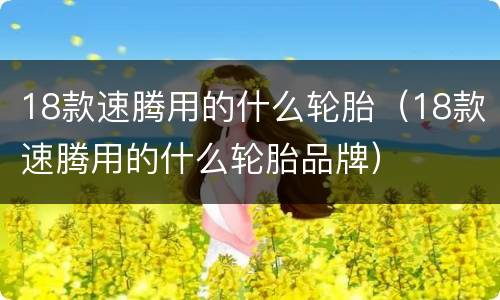 18款速腾用的什么轮胎（18款速腾用的什么轮胎品牌）