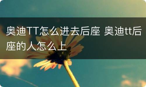 奥迪TT怎么进去后座 奥迪tt后座的人怎么上