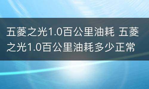 五菱之光1.0百公里油耗 五菱之光1.0百公里油耗多少正常