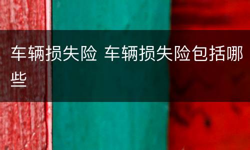车辆损失险 车辆损失险包括哪些