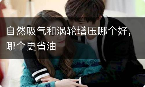 自然吸气和涡轮增压哪个好，哪个更省油