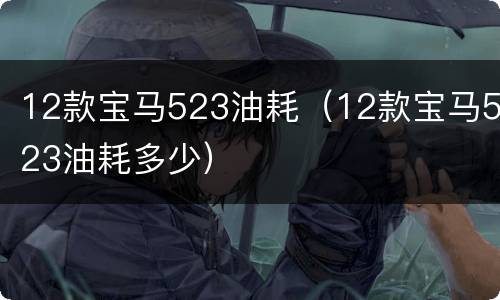 12款宝马523油耗（12款宝马523油耗多少）