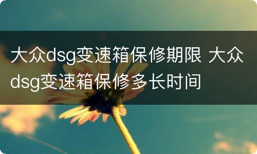 大众dsg变速箱保修期限 大众dsg变速箱保修多长时间