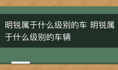 明锐属于什么级别的车 明锐属于什么级别的车辆
