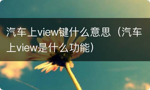 汽车上view键什么意思（汽车上view是什么功能）
