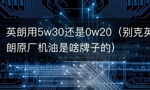 英朗用5w30还是0w20（别克英朗原厂机油是啥牌子的）