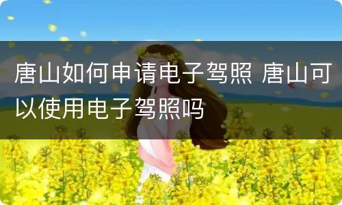 唐山如何申请电子驾照 唐山可以使用电子驾照吗
