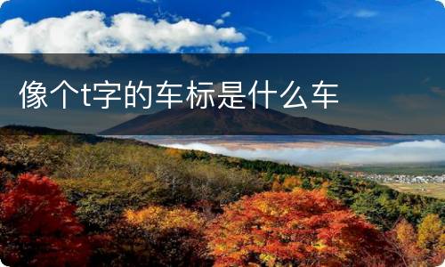 像个t字的车标是什么车