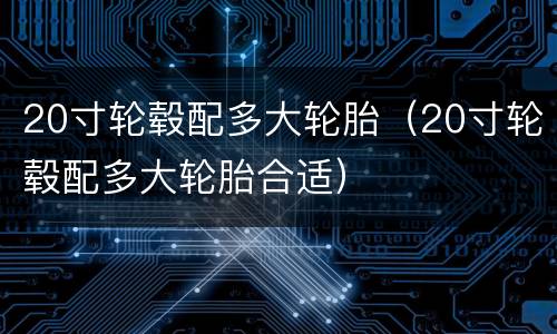 20寸轮毂配多大轮胎（20寸轮毂配多大轮胎合适）