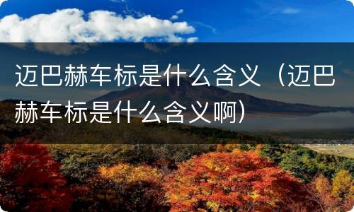 迈巴赫车标是什么含义（迈巴赫车标是什么含义啊）