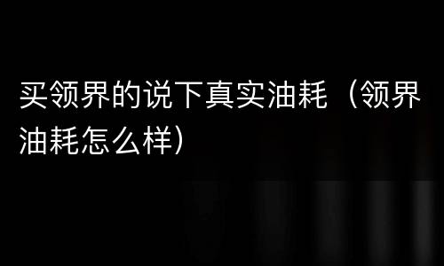 买领界的说下真实油耗（领界油耗怎么样）