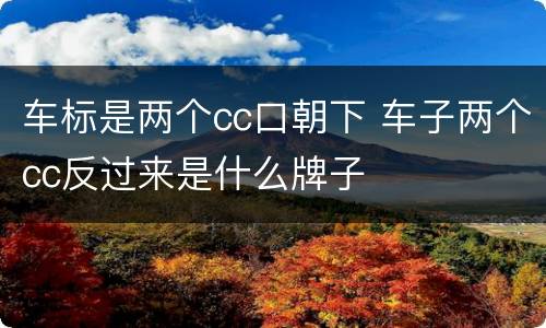 车标是两个cc口朝下 车子两个cc反过来是什么牌子